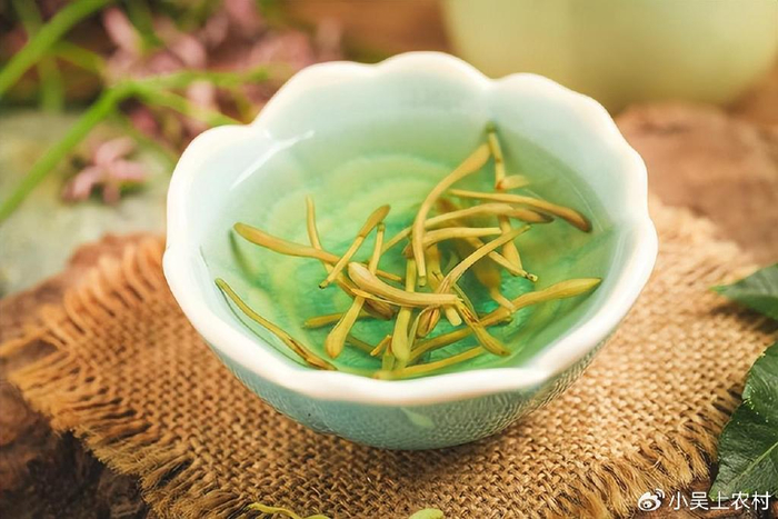 这种野花300元一斤,就是大名鼎鼎的金银花,很多人去采摘泡茶喝