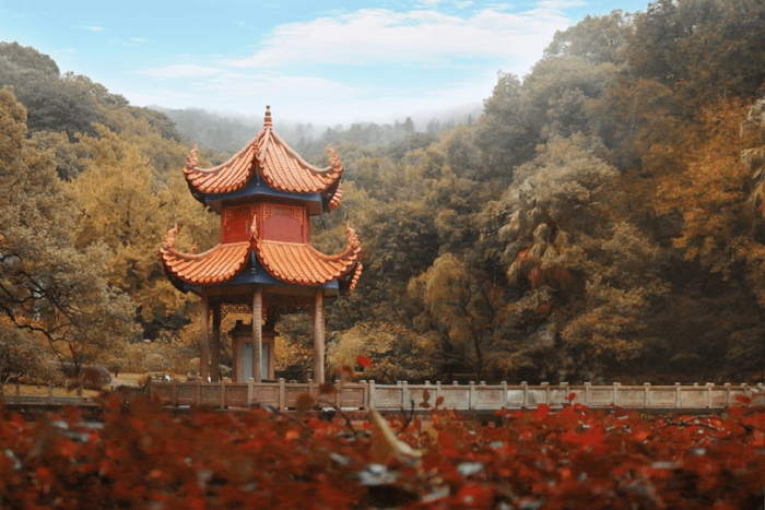 湖南师范大学2025年研究生推免生开始报名啦!