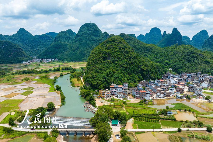 广西阳朔:乡村夏日风景如画