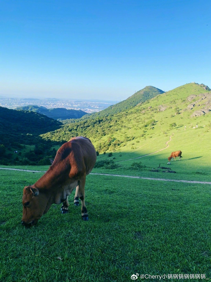 福清·大姆山