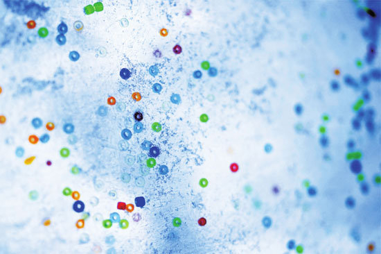 瓶装水塑料微粒引担忧