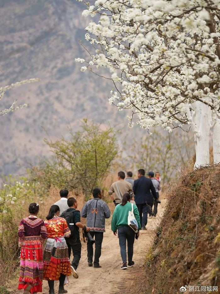当下,玉龙县石鼓镇四