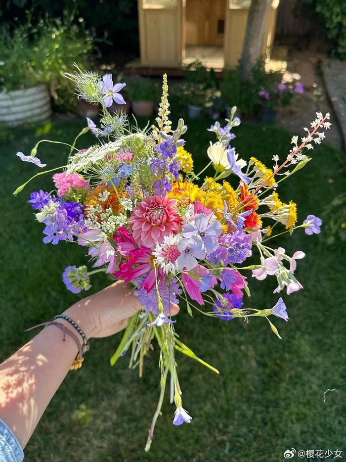 生命力满满的野花花束