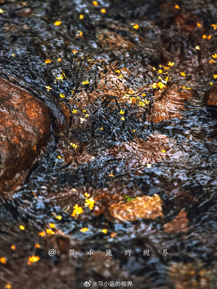 200块三小时服务真的能帮新手解决问题吗