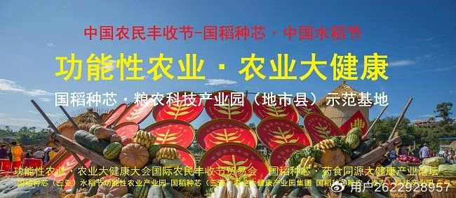 巴掌田斗笠田化零为整 国稻种芯·中国水稻节:安徽马鞍山增收__财经头条__新浪财经