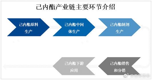 全球己内酯市场PEST分析、市场规模及竞争格局分析预测