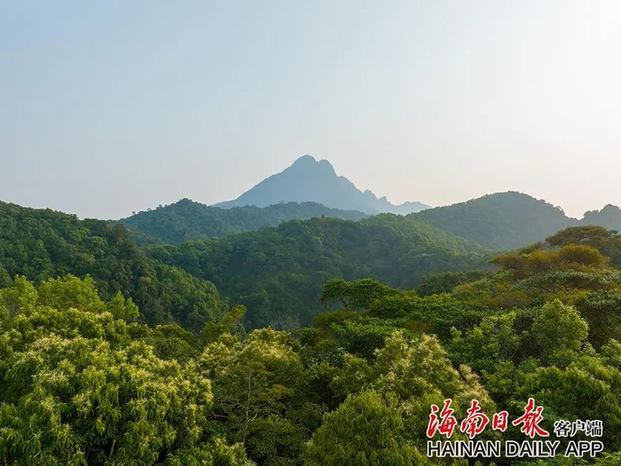 海南这些名山,因何而得名?进来涨知识→|海南省|五指山市_新浪新闻