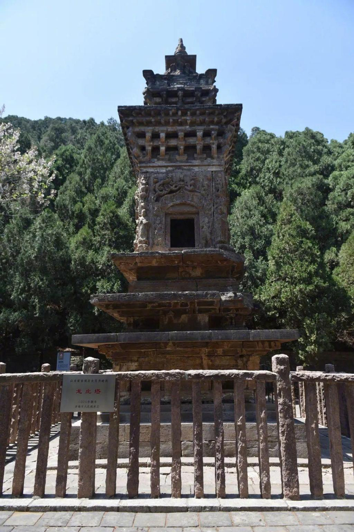 "猫猫寺",霍比特小镇,这条网红线路打卡攻略来了|四门塔|猫猫|霍比特