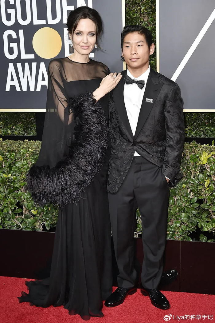 不相信皮特不仅打老婆还袭击孩子后,又有很多网友开始抨击朱莉"蛇蝎