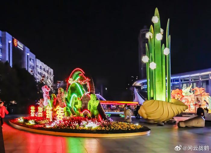 春节期间舟山定海区文化广场灯彩