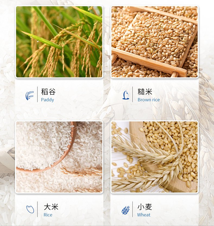 脂肪酸|测定仪|粮食_新浪新闻
