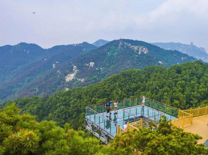 济  宁泗水东仲都村