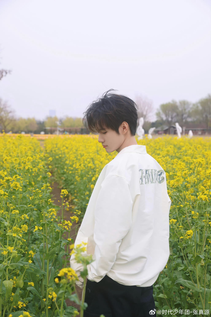 张真源更博:和春天的合影98 解锁今日份元气张哥,油菜花和帅哥适配