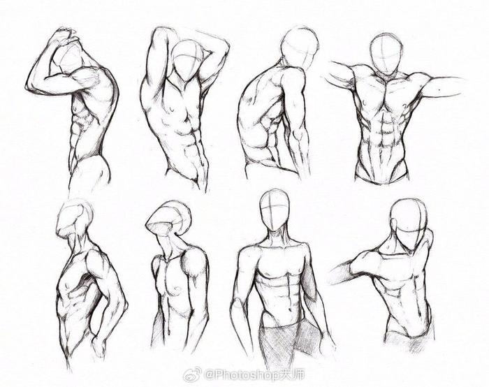 人体肌肉绘画参考