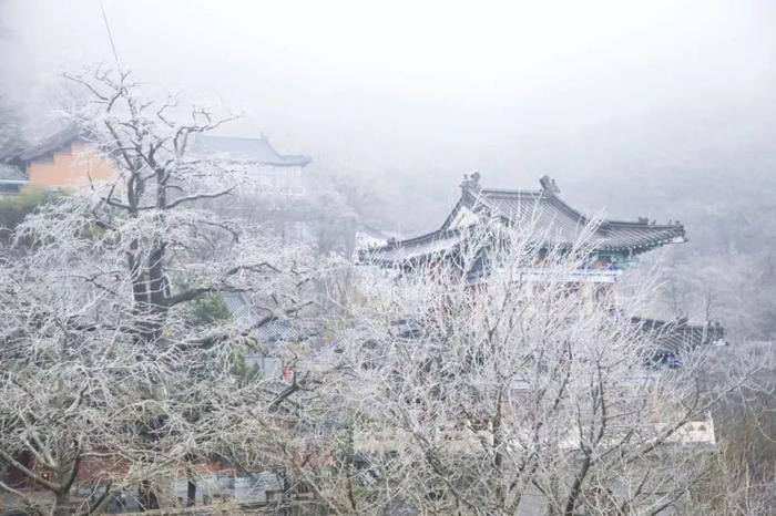 玉女峰雪景图片