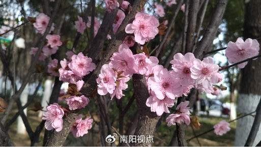 钢铁悍马：年少不知恩，知恩不年少