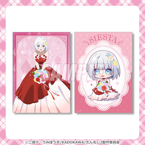 谢丝塔诞生日新商品插图