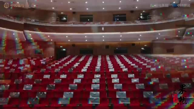 果然视频中玮瑞马观唐中国爱乐乐团新春音乐会精彩奏响