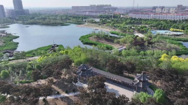 四季旅行·文武沧州|河北海兴:孟夏美景如画