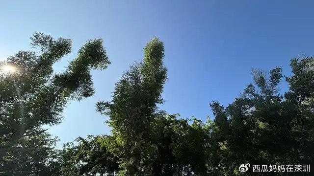 为什么从不给孩子检查作业？这位妈妈的回答意想不到！