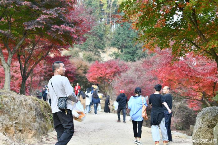 11月26日永州市藍山縣藍山谷景區