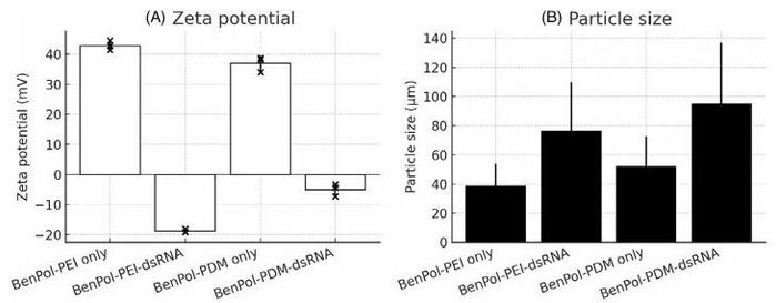 黎曼zeta函数的奥秘 剖析素数分布的秘密