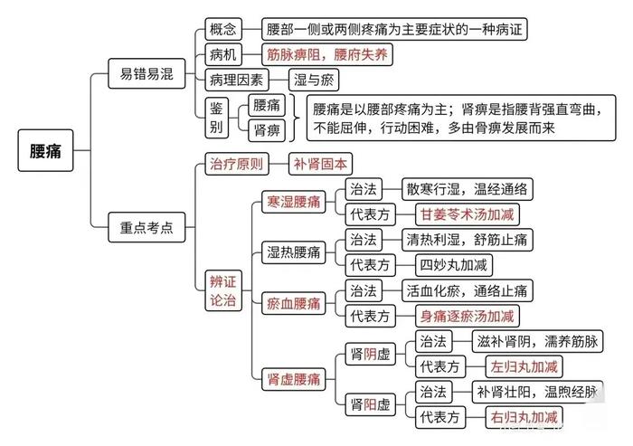 中医思维导图,感兴趣的朋友了解一下