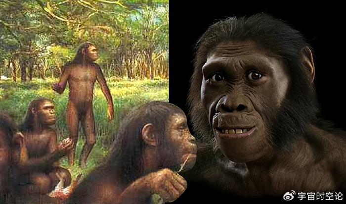 深度长文:人类是猿进化来的,为什么再也没有别的猿进化成人类?