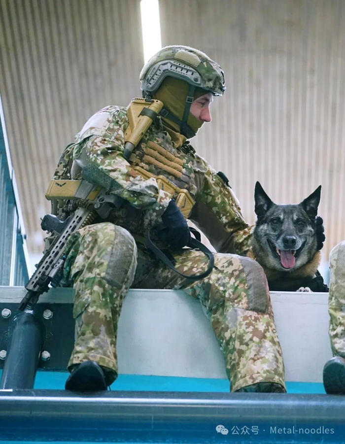 参加水上反恐突击科目的ksk军犬这工作也不容易啊图源见水印