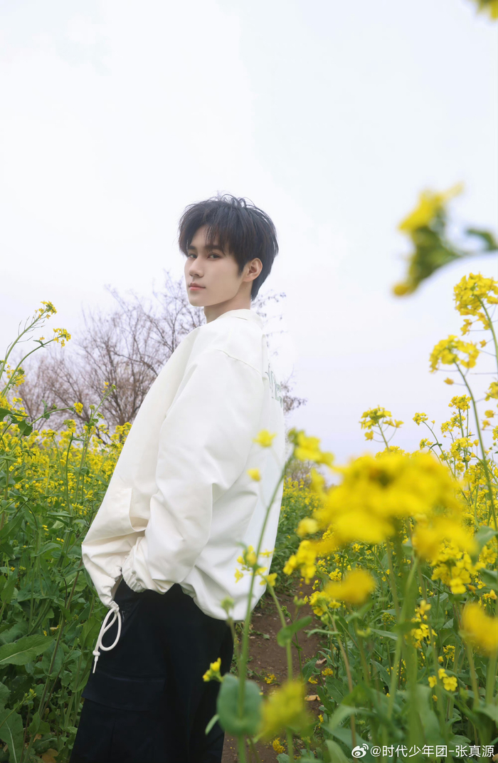 张真源更博:和春天的合影98 解锁今日份元气张哥,油菜花和帅哥适配
