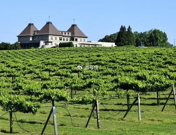 北美洲葡萄酒(十八)-美国加利福尼亚产区(11)中部海岸