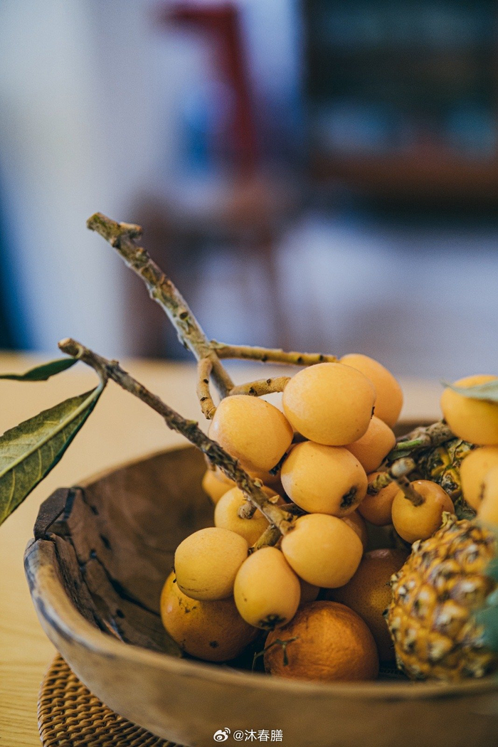 枇杷来找我个头大品质好第10年