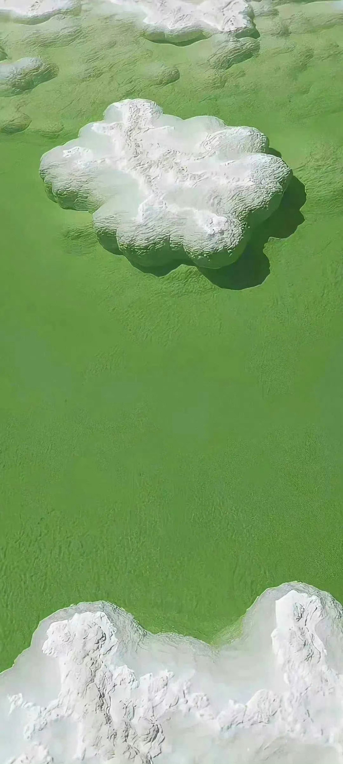 绿色系壁纸对眼睛太友好了叭