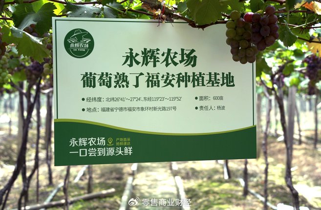 宁德批发市场洞察：如何在竞争中脱颖而出？