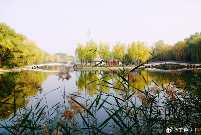 青年湖公园