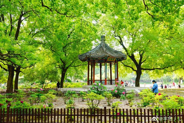 北京地坛公园 摄影