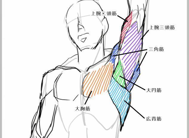 教你轻松绘画人物的手臂