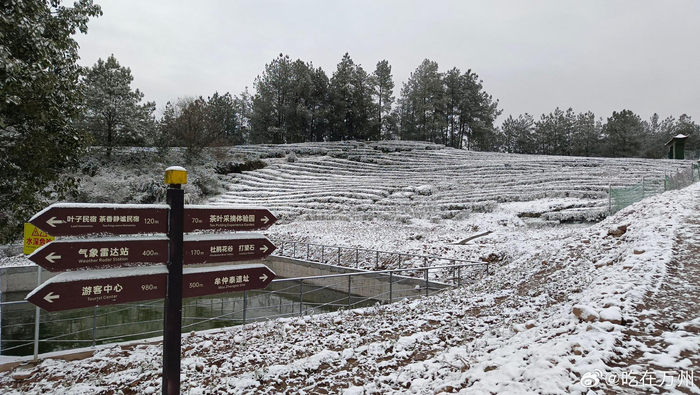 万州区太安镇区迎来龙年首场降雪