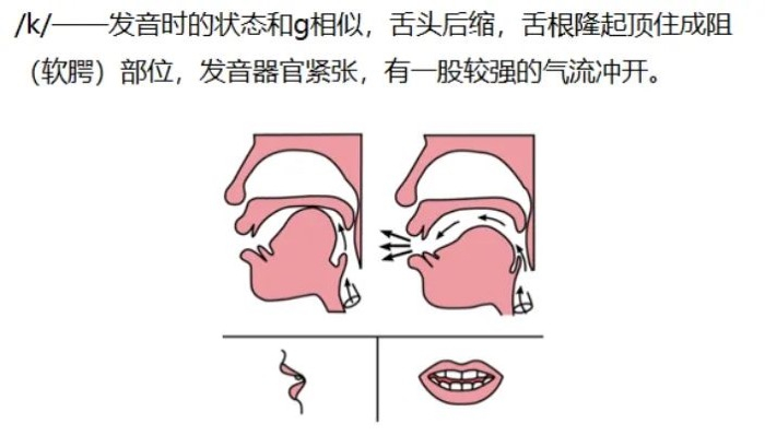 言语教学 | 「舌根音」g/k/h的具体训练方法，言语治疗师必学！|声母|发音|舌面|卡片|儿童_新浪新闻