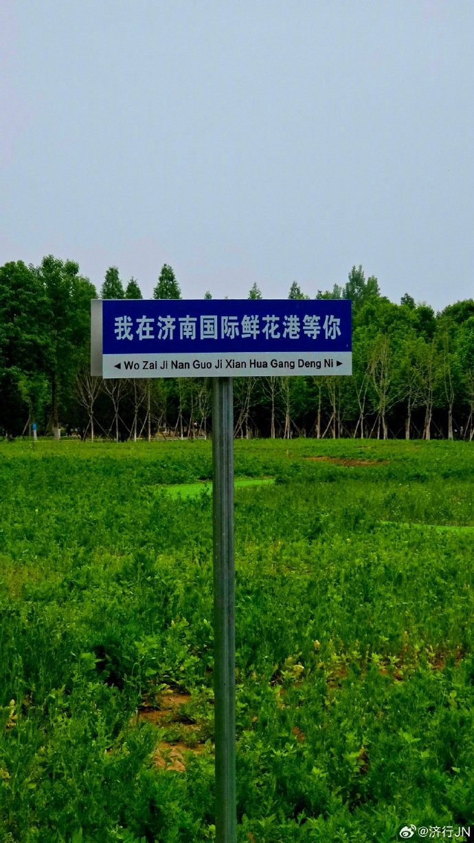 一个集休闲,露营,娱乐的好去处!升级后的济南国际鲜花港太美了!