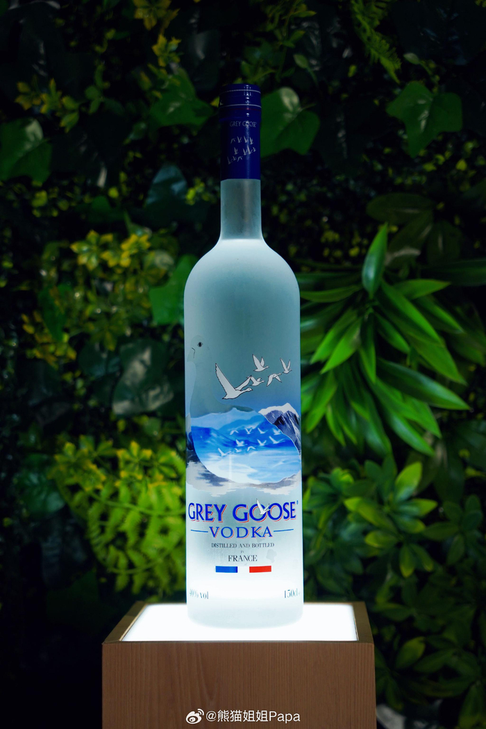 grey goose 法国灰雁伏特加戴上最酷的墨镜一同探索自然焕想非凡