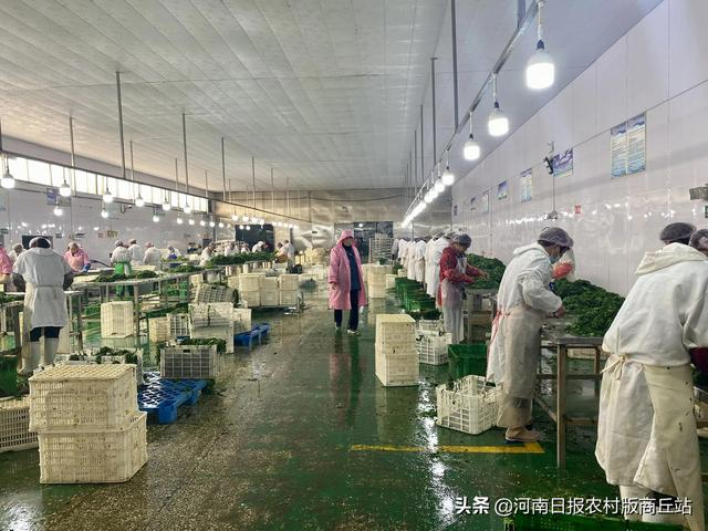 商丘速冻食品