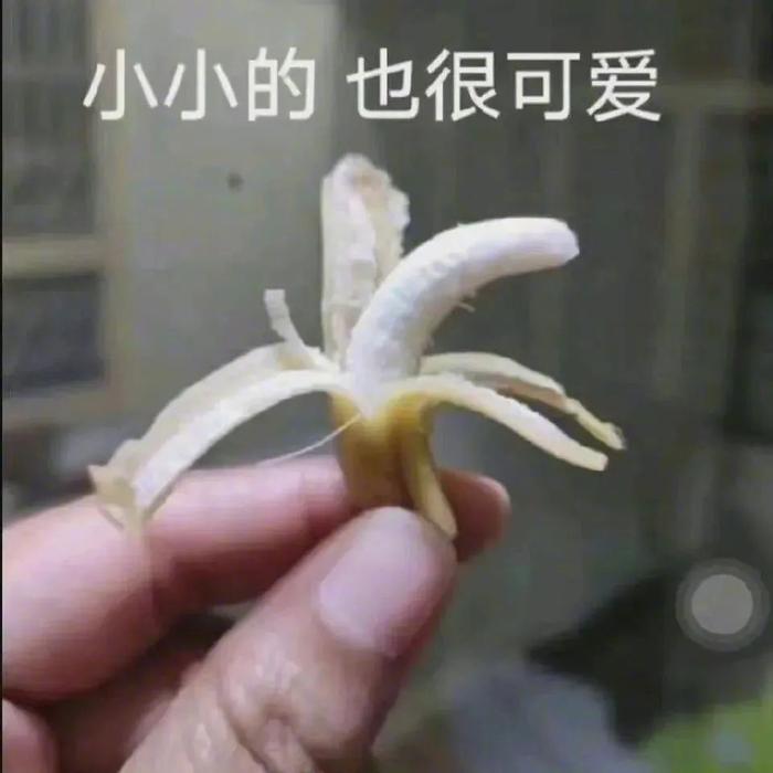 未成年表情包图片