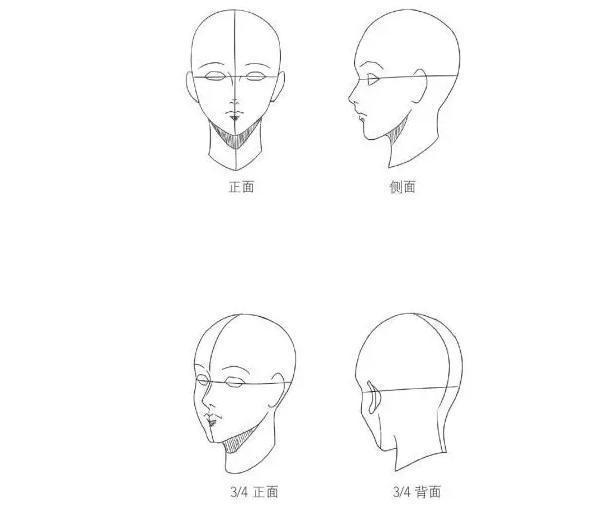 头部轮廓简笔画图片