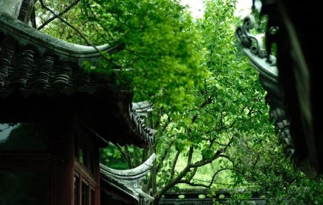 雨过园林翠作团