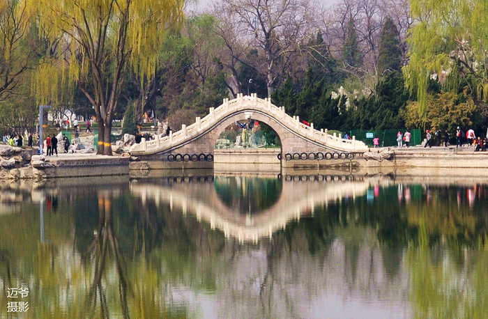 龙年话龙-原创摄影|龙潭公园|碑林|龙_新浪新闻