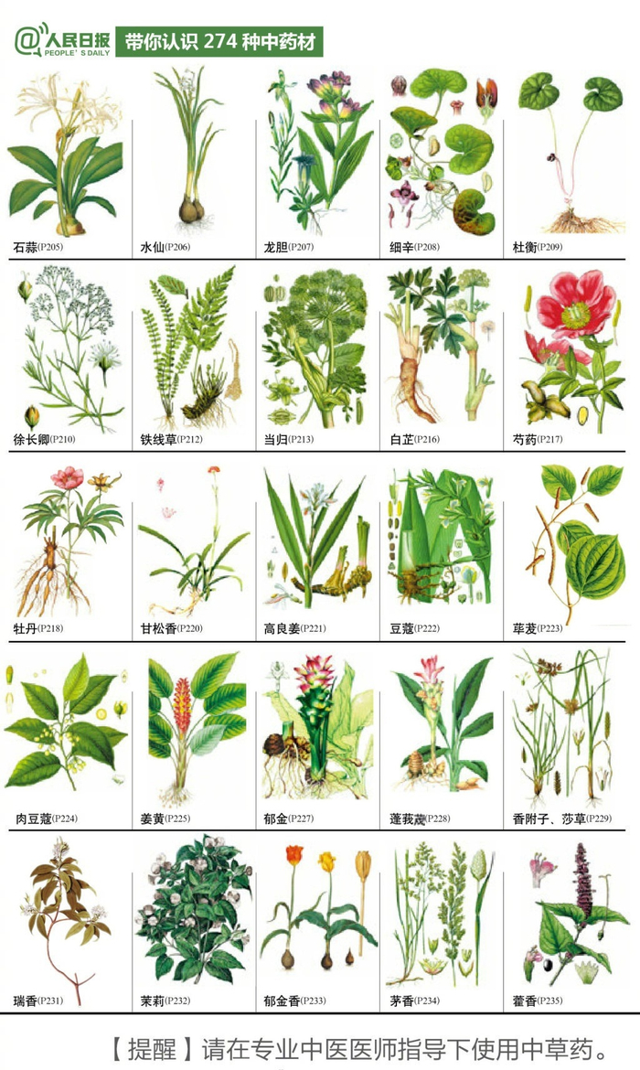 带你认识274种中药材,老祖宗留下的宝藏|_新浪新闻