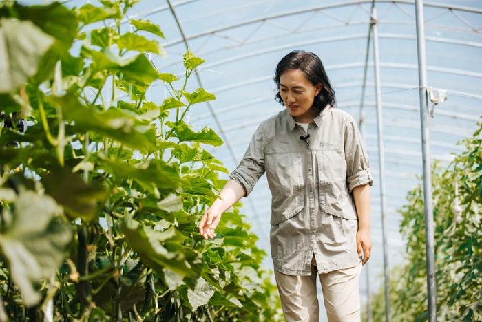 新农人石嫣的分享收获做小而美的有机农场