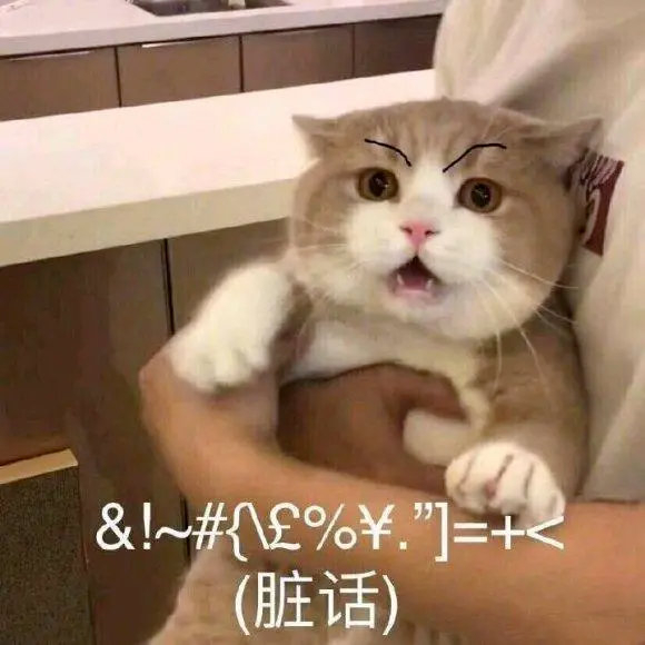 这些产品，又抢疯了......