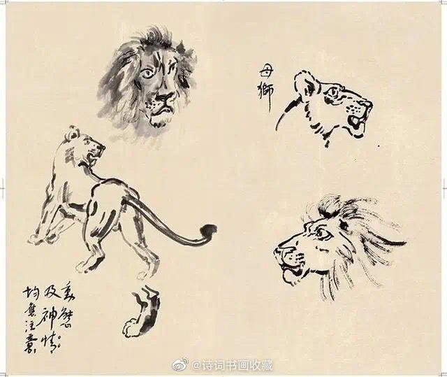 徐悲鸿不仅喜欢画狮